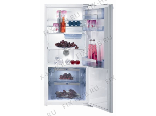 Холодильник Gorenje RI56208 (198105, HKI2028BF) - Фото